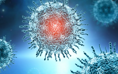 Découverte du virus Usutu : nouvel arbovirus transmissible à l’Homme