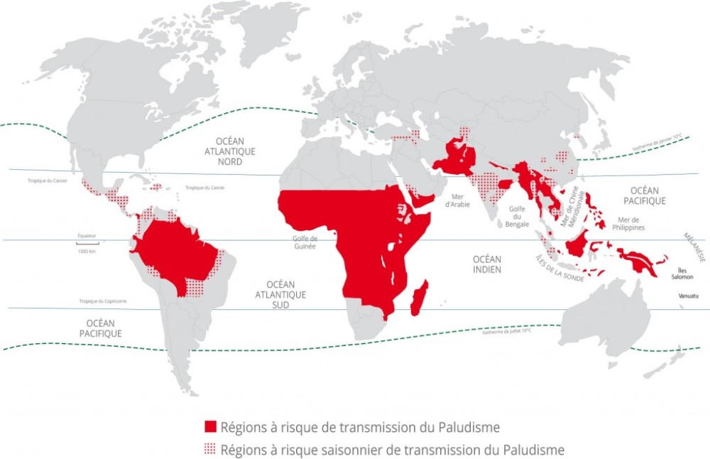 Carte du paludisme dans le Monde