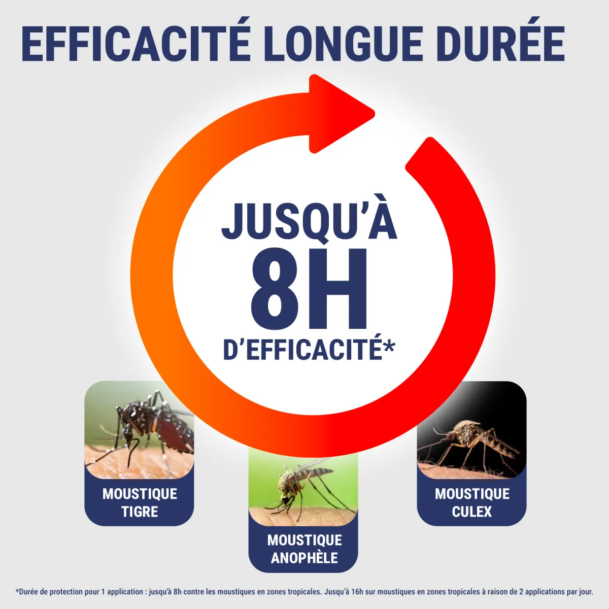 INSECT ECRAN - Anti-moustiques - rpulsif - Tropiques