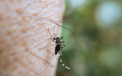 L'icaridine : Un répulsif efficace contre les insectes nuisibles