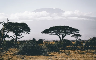 Me protéger des moustiques en Afrique Subsaharienne