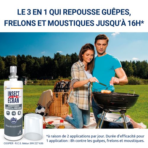 Guêpes et frelons