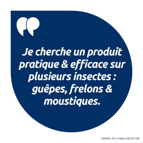 Guêpes et frelons