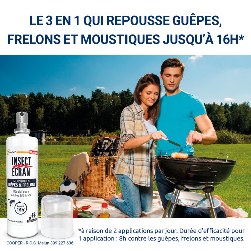 Guêpes et frelons