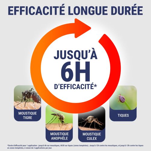 Brume Zones Infestés Anti-moustiques