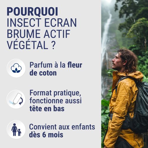 Brume Zones Infestés Anti-moustiques