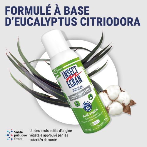 Brume Zones Infestés Anti-moustiques
