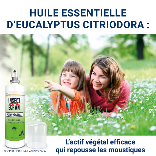 Actif Végétal