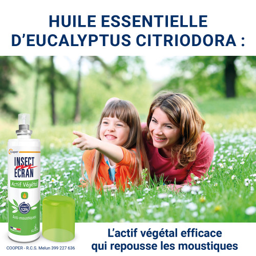 Actif Végétal