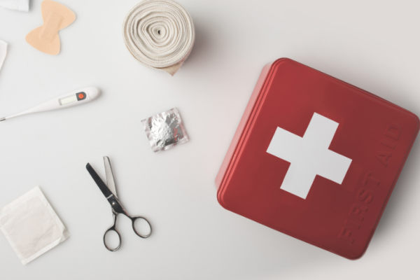 auteur: Trousse à pharmacie pour lutter contre les moustiques