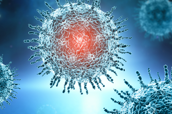 auteur: Découverte du virus Usutu : nouvel arbovirus transmissible à l’Homme